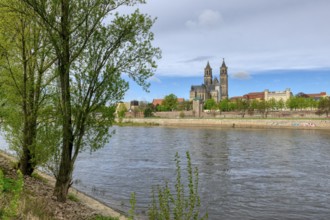 Protestant gothic Magdeburg cathedral or Cathedral of Saints Maurice and Catherine along the Elbe