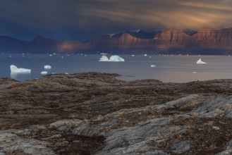 Evening light and atmosphere in fjord with icebergs in front of steep mountains, cloudy, autumn,