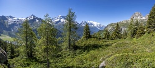 Mountain panorama with glaciated mountain peaks, Aiguille Verte with Aiguille du Midi and Mont