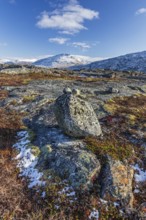 Fjell with stones, boulders, autumn colours, snowy mountains, autumn, Bjornfjell, Narvik, Norway,