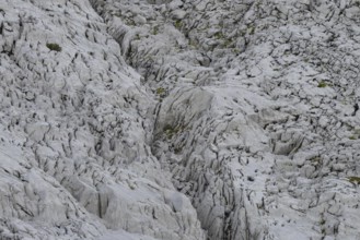 Gottesacker plateau, karst landscape, Kleinwalsertal, Vorarlberg, Allgäu Alps, Austria, Europe