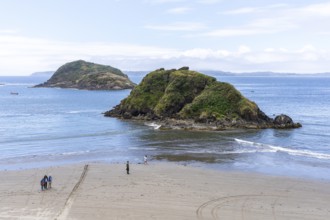 Natural Heritage Site Islotes de Punihuil, Punihuil, Chiloe, Chile, South America