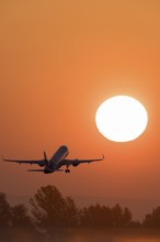 Passenger aeroplane after take-off, sunrise, sun, trees, Baden-Württemberg, Germany, Europe