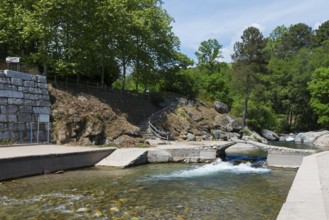 Ein ruhiger Fluss fließt durch ein Gebiet mit einer kleinen Brücke und einer Steintreppe, umgeben