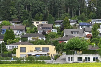 Housing estate detached houses