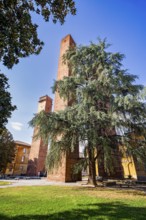 Towers of Pavia, Lombardy, Italy, Europe