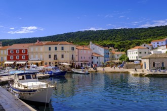 Veli Losinj harbour, near Mali Losinj, island of Losinj, Kvarner Gulf Bay, Croatia, Europe