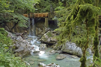 Seisenbergklamm gorge, natural monument, Pinzgau, Salzburger Land, Austria, Europe