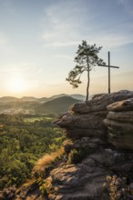 Sandstone rock with pine tree and summit cross, Rötzenfelsen, sunrise, Gossersweiler-Stein,