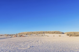 Snowy field by a hill with a red farm a cold sunny winter day in the countryside by a table hill