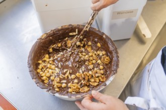 Mixing nuts in a bowl filled with chocolate, Burch Schokolade production, Haselstaller Hof,