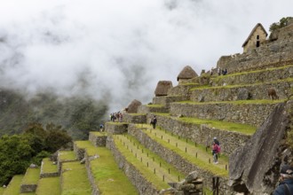 Inca ruins of Machu Picchu in the clouds, Cusco region, Peru, South America