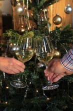 Christmas wine enjoyment, Christmas tree, December, Germany, Europe