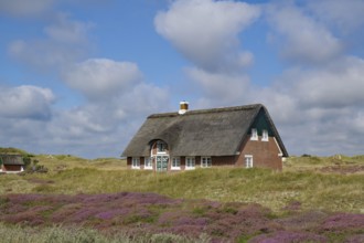 Thatched house in a scenic setting, surrounded by meadows and heath under a cloudy blue sky,