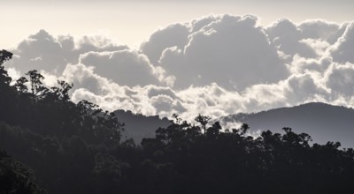 Clouds over cloud forest, mountain rainforest, Parque Nacional Los Quetzales, Costa Rica, Central