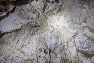 Stalactite cave, Terciopelo Cave, Barra Honda National Park, Costa Rica, Central America