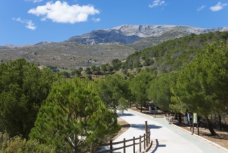 Hiking trail through green trees in a hilly mountain landscape under a blue sky, La Maroma