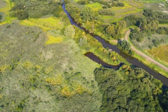 Aerial view of Lake Dümmer, nature reserve, reeds, shore, influence of the Hunte, river,