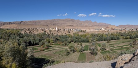 Oasis with traditional mud houses and date palms, on the edge of the Todra Gorge or Gorges du