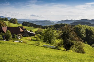 Farm, near Elzach, Black Forest, Baden-Württemberg, Germany, Europe