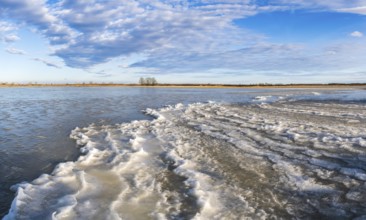 Landscape with frozen meadow, Hansag, Neusiedler See-Seewinkel National Park, Burgenland, Austria,