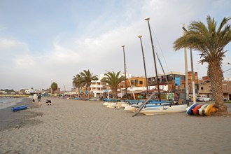 Paracas, Reserva Nacional de Paracas, Ica region, Pisco province, Peru, South America