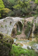 Ancient stone bridge with arch over a river in a wooded landscape, bridge of Platanias over the