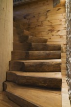 Illuminated twisting wooden staircase with brown stained half log steps attached to large bleached