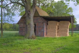 Photograph of a barn with a shelter with large bales of straw and a tree in front of it, Schneeren,