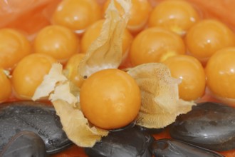 Cape gooseberry or Andean berry (Physalis peruviana), ripe fruit