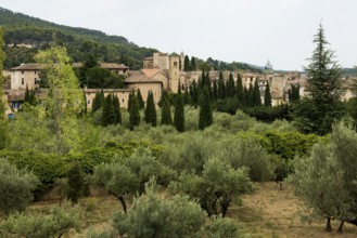 Lorgues, Département Var, Region Provence-Alpes-Côte d'Azur, South of France, France, Europe