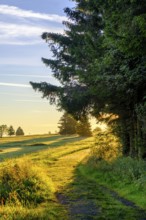 Am Heidelstein, Schwabenhimmel, UNESCO Biosphere Reserve, near Hausen, Rhön, Bavarian Rhön, Rhön,