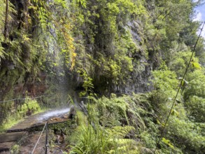 Hiking trail with waterfall on the Levada Nova and Levada do Moinho, Madeira, Portugal, Europe