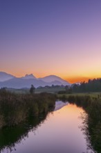 Achen am Hopfensee, Allgäu Alps, Hopfen am See, Allgäu, Upper Bavaria, Bavaria, Germany, Europe