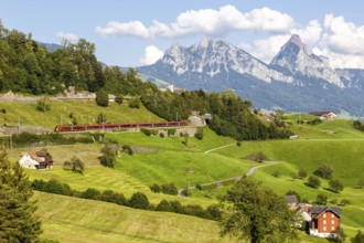 Railway passenger train of the type Stadler Flirt of the Südostbahn on the mountain Großer Mythen