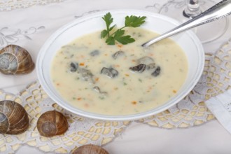 Baden cuisine, snail soup, typical Baden, vineyard snail shell, snail shells, parsley, spoon, soup