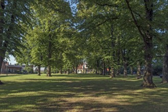 Lindenallee (Tilla), behind an art nouveau villa built around 1900, Rögnitz, Mecklenburg, -Western