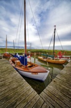 Sailing boats in Althagen harbour on the Saaler Bodden, evening mood, Ahrenshoop,