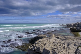 De Hoop Nature Reserve, nature reserve near Struisbaai, Garden Route, Western Cape, South Africa,