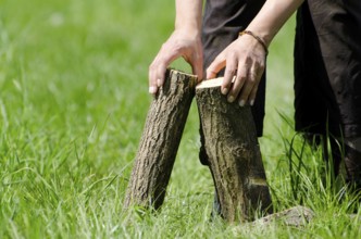 Woman Hands Holding Firewood on the Green Grass