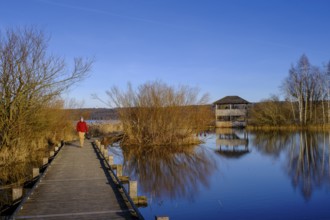 Plank path to the observation tower, high water in Dießen am Lake Ammer, Diessen, Fünfseenland,