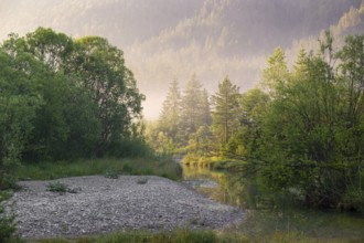 Isar valley nature conservancy area. The wild Isar river flows through its gravel bed past