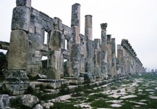 Ruins of Roman buildings at the archaeological site of Apamea, Syria, 1998, Asia