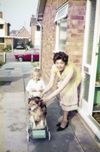 Young girl pushing her dog in a Comfifolda pram from the 1970s, Great Britain