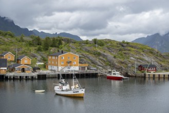 Fishing boats in the harbour of Stamsund, Vestvågøy, Lofoten, Norway, Europe