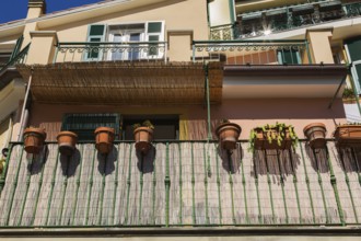 Residential apartment building facade with plants in terracotta containers attached to balcony