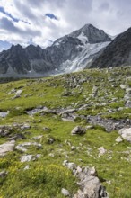 Mountain landscape with mountain peak Pigne d'Arolla and glacier Glacier de Tsijore Nouve, Valais,