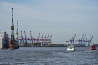 Harbour cranes in the container port, harbour, Elbe, Hamburg, Germany, Europe