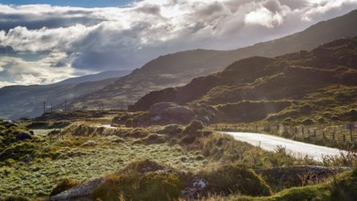 Killarney National Park, hilly landscape in the morning mist, panoramic road Ring of Kerry, Iveragh