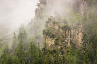 Wisps of mist cover the Karwendel mountains in the Großer Ahornboden nature reserve, Eng Valley,